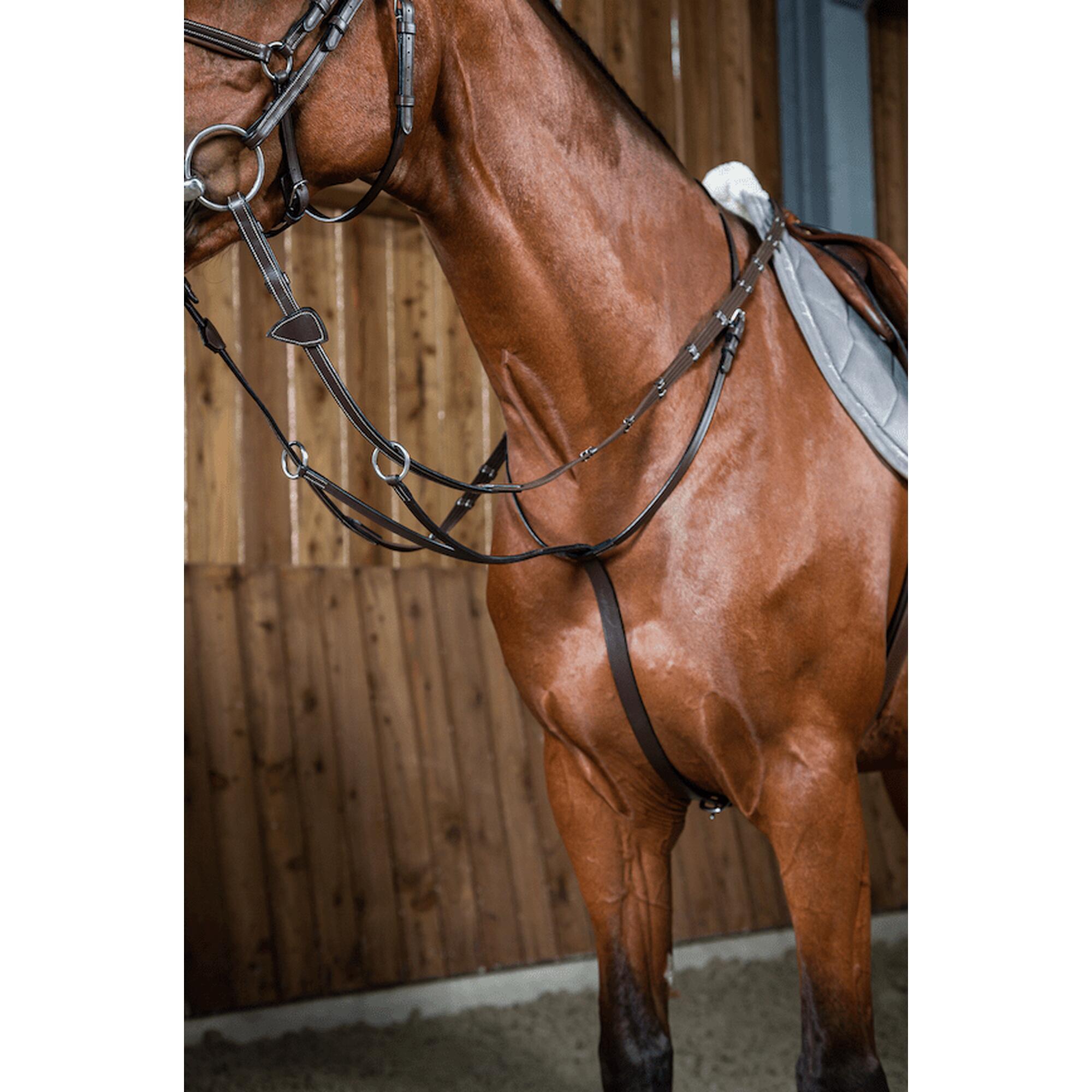 Dy'on Running Martingale - Working Collection Zwart -
