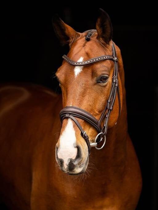 Bridon équitation pour cheval dressage LeMieux Arika 7/7
