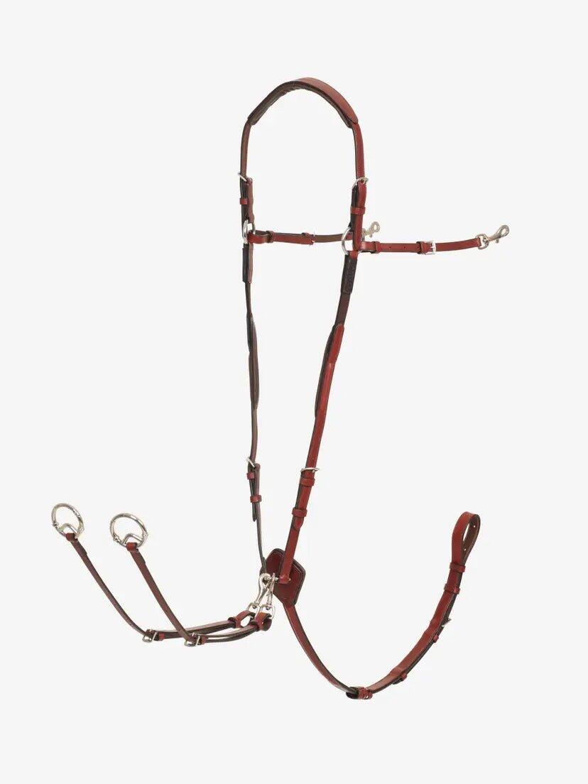 Lemieux Kudos Borsttuig (d-ring Attachment) Chestnut/zilver - 3/7