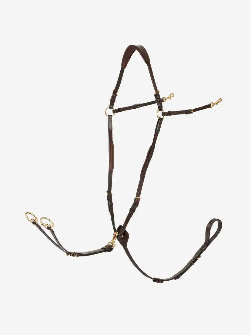 Lemieux Kudos Borsttuig (d-ring Attachment) Chestnut/zilver - 2/7