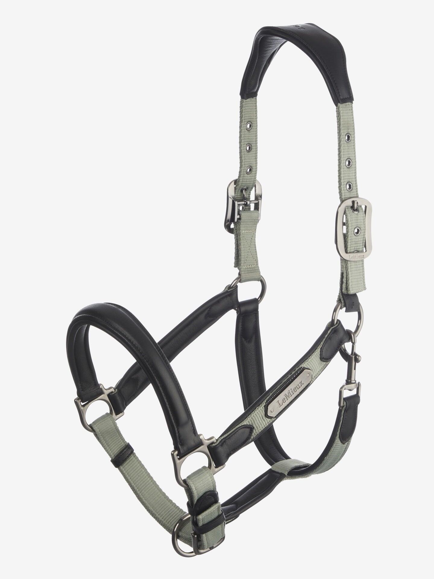 Leren halster voor paarden LeMieux Capella Thym 7/7