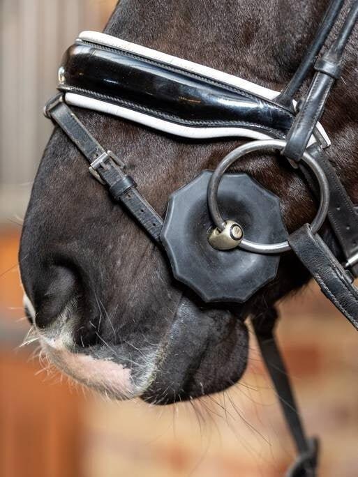 2-rings rubberen paardenbit LeMieux 3/7