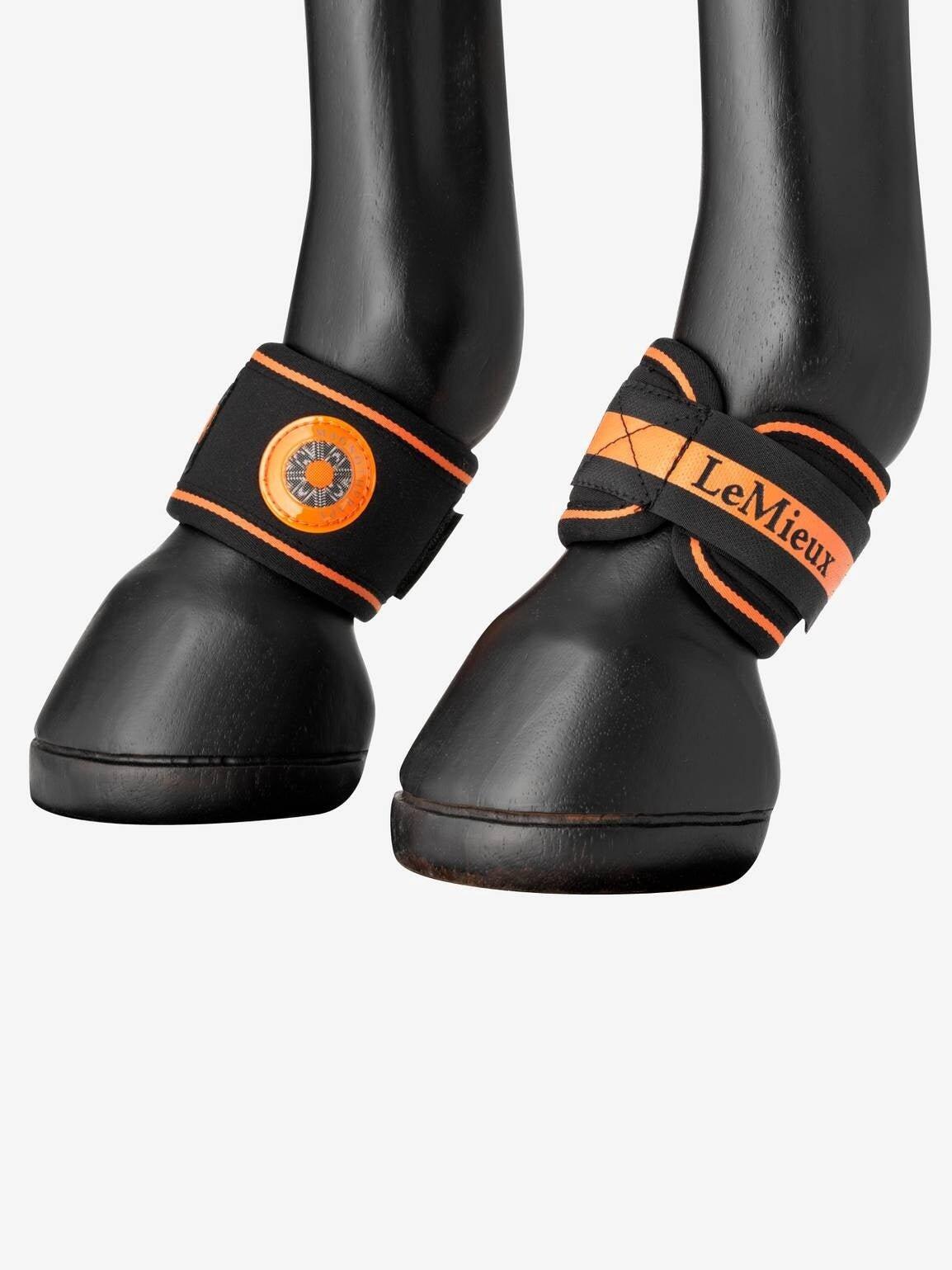 Paard Pupilbeschermer LeMieux Magno 3/3