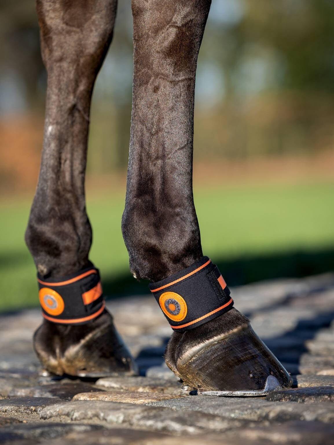 Paard Pupilbeschermer LeMieux Magno 2/3