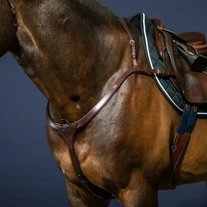 Hunting collar for horse Dy'on New English Collection