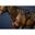 Dy'on Long Bridge Breastplate Bruin -