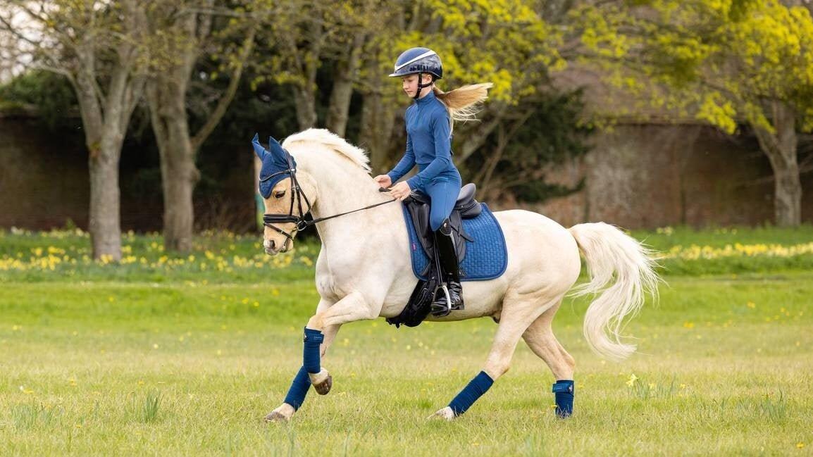 Lemieux Suede Zadeldek Atlantic - Dressage  - 3/4