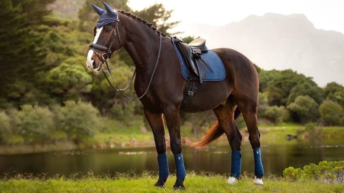 Lemieux Suede Zadeldek Atlantic - Dressage  - 2/4