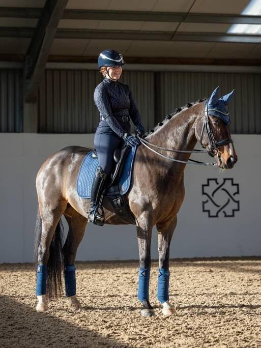 Lemieux Suede Zadeldek Atlantic - Dressage  - 4/4