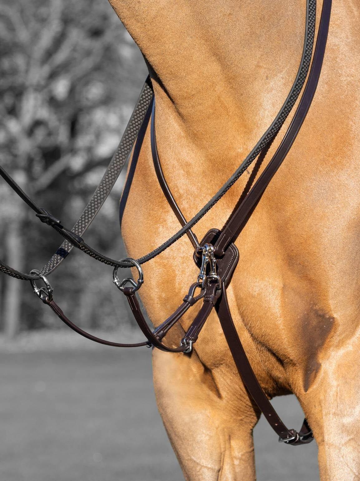 Martingale de course pour chevall LeMieux Kudos 4/6