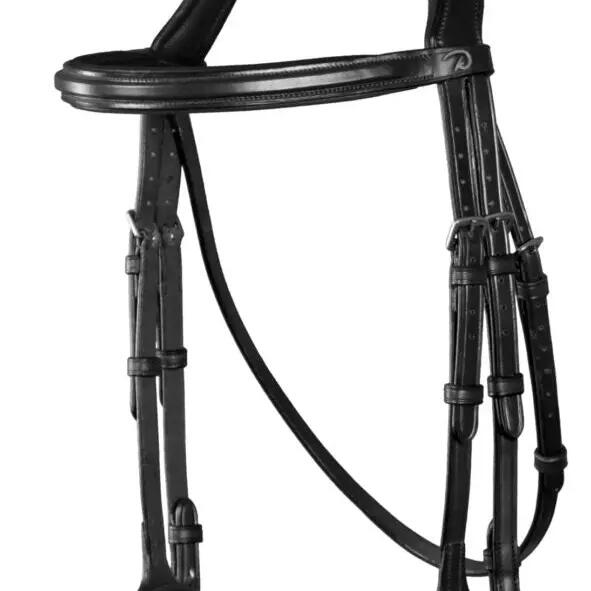 Combined riding bridle and noseband Dy'on Flash New English Collection