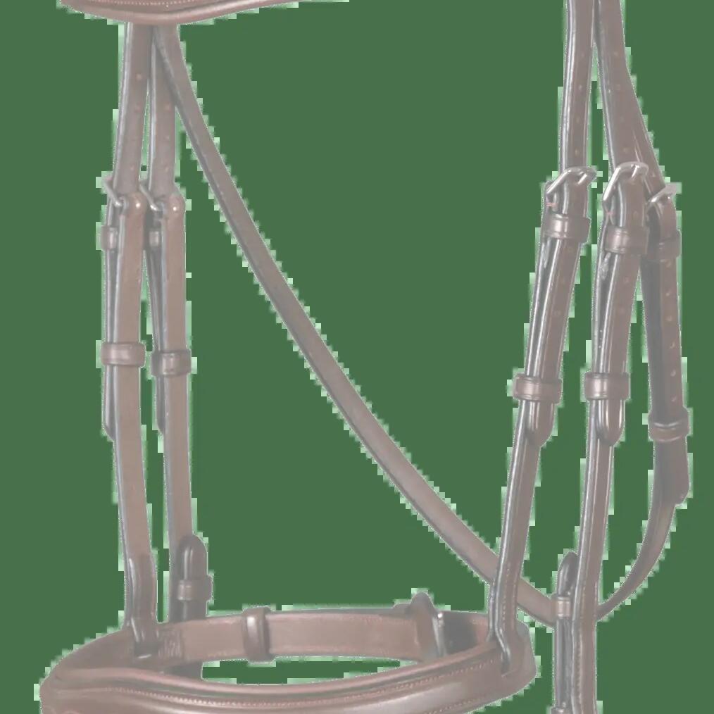 Riding bridle Dy'on Flash New English Collection 1/2"