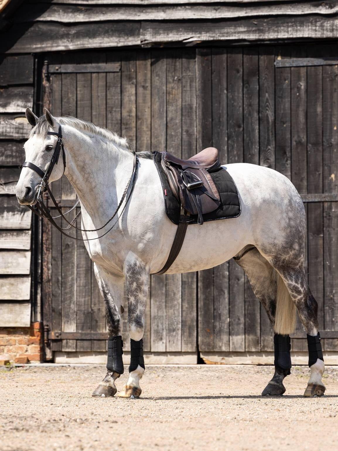 Dressuurmat voor paarden LeMieux Work 3/7