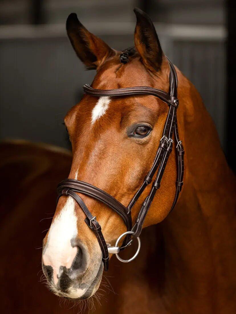 Lemieux Arika Flash Hoofdstel Bruin/zilver - 3/7