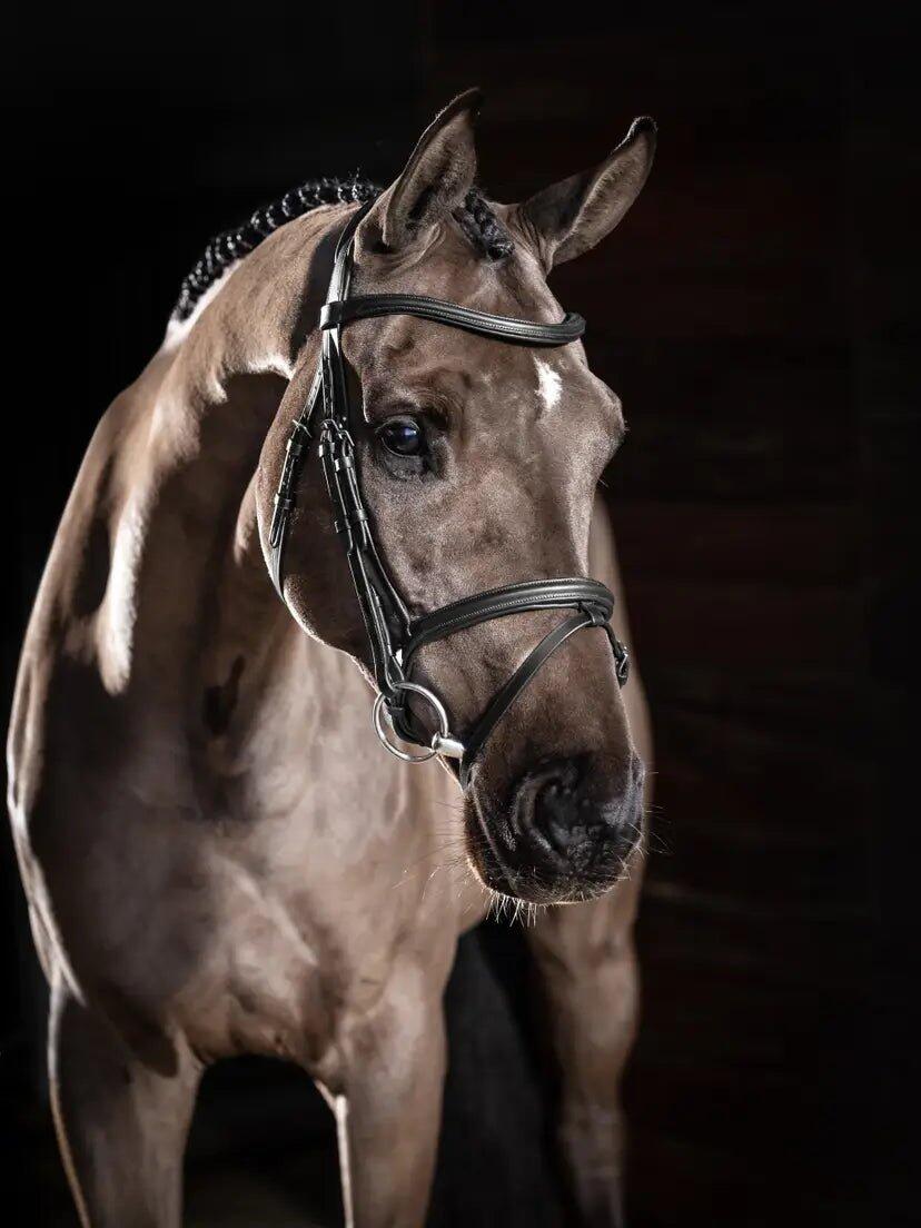 Hoofdstel voor paarden LeMieux Arika Flash 5/7