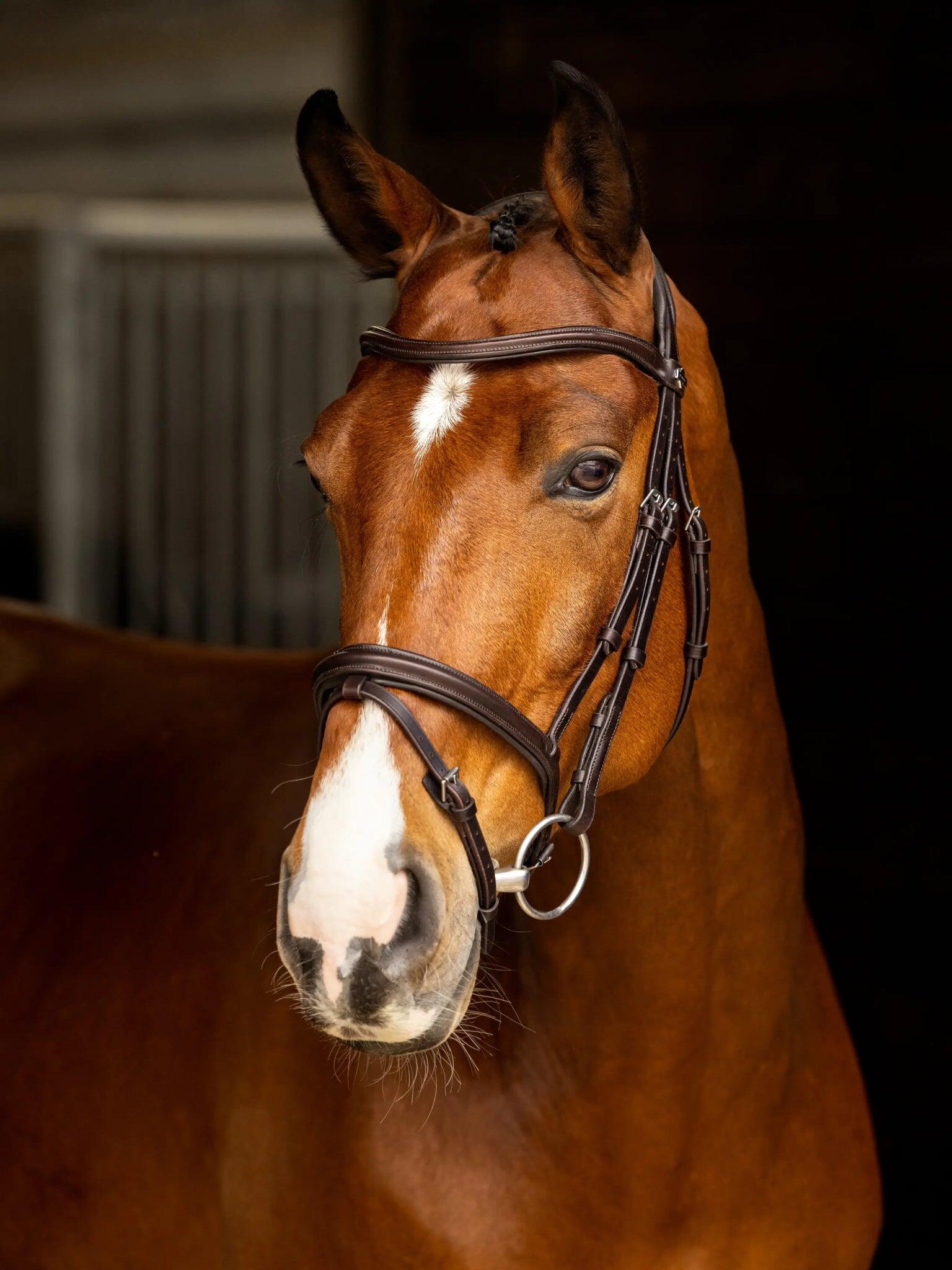 Lemieux Arika Flash Hoofdstel Bruin/zilver - 4/7