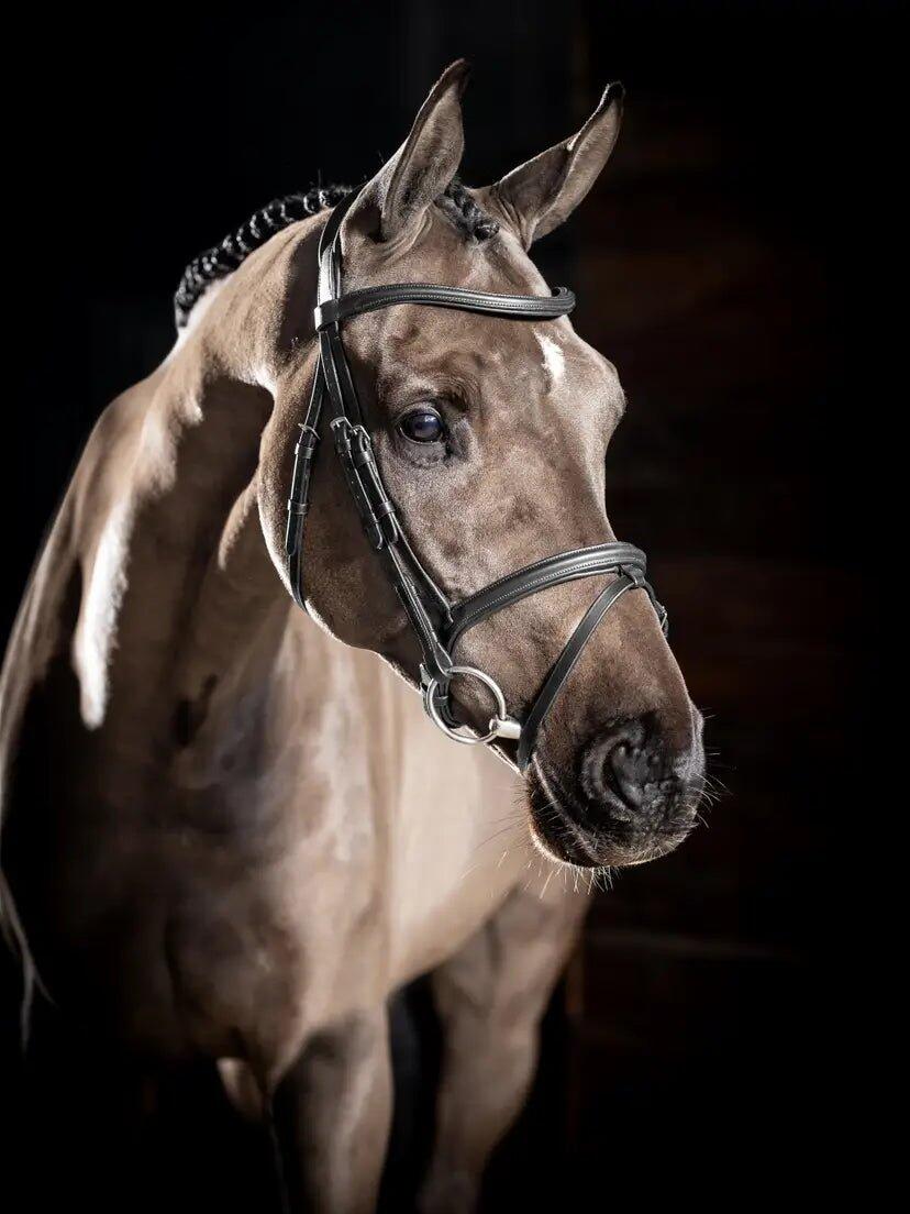 Hoofdstel voor paarden LeMieux Arika Flash 6/7