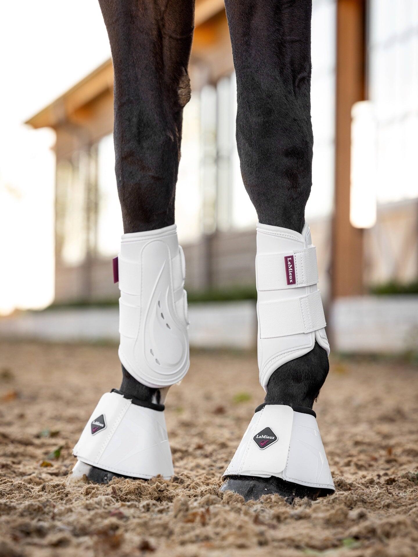 Guêtres postérieurs pour cheval LeMieux ProShell 6/7