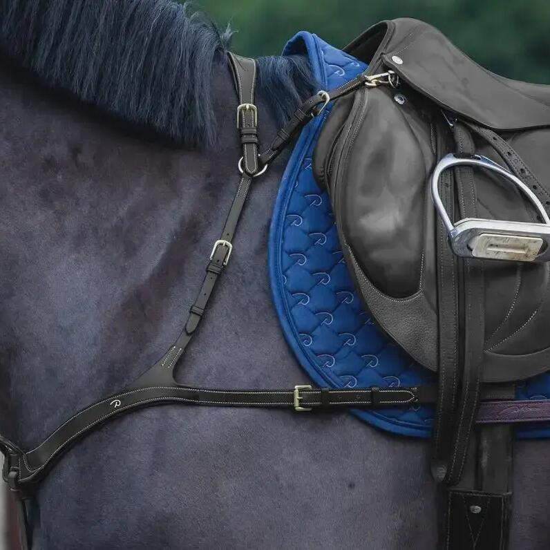 Anatomical hunting collar for horses Dy'on