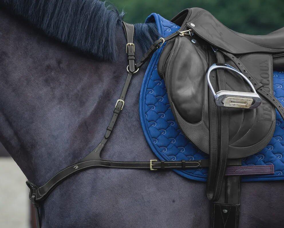 Dyon Anatomical Breastplate D Collection Zwart -