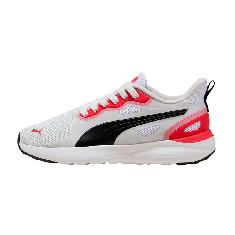 PUMA picture