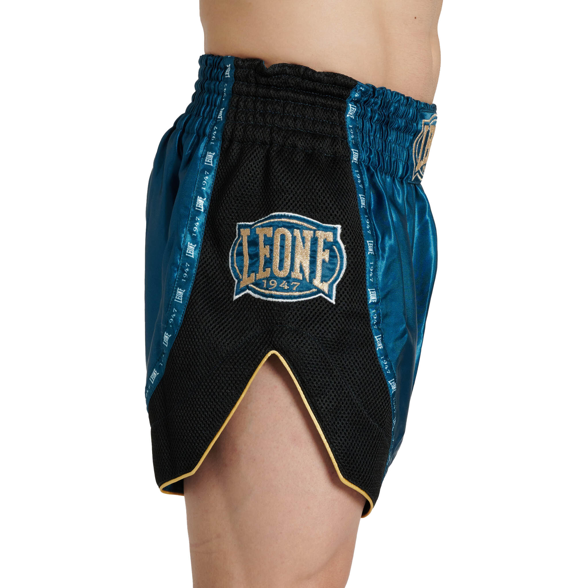 LEONE kick/thai shorts CLASSIC ottanio XL 3/8