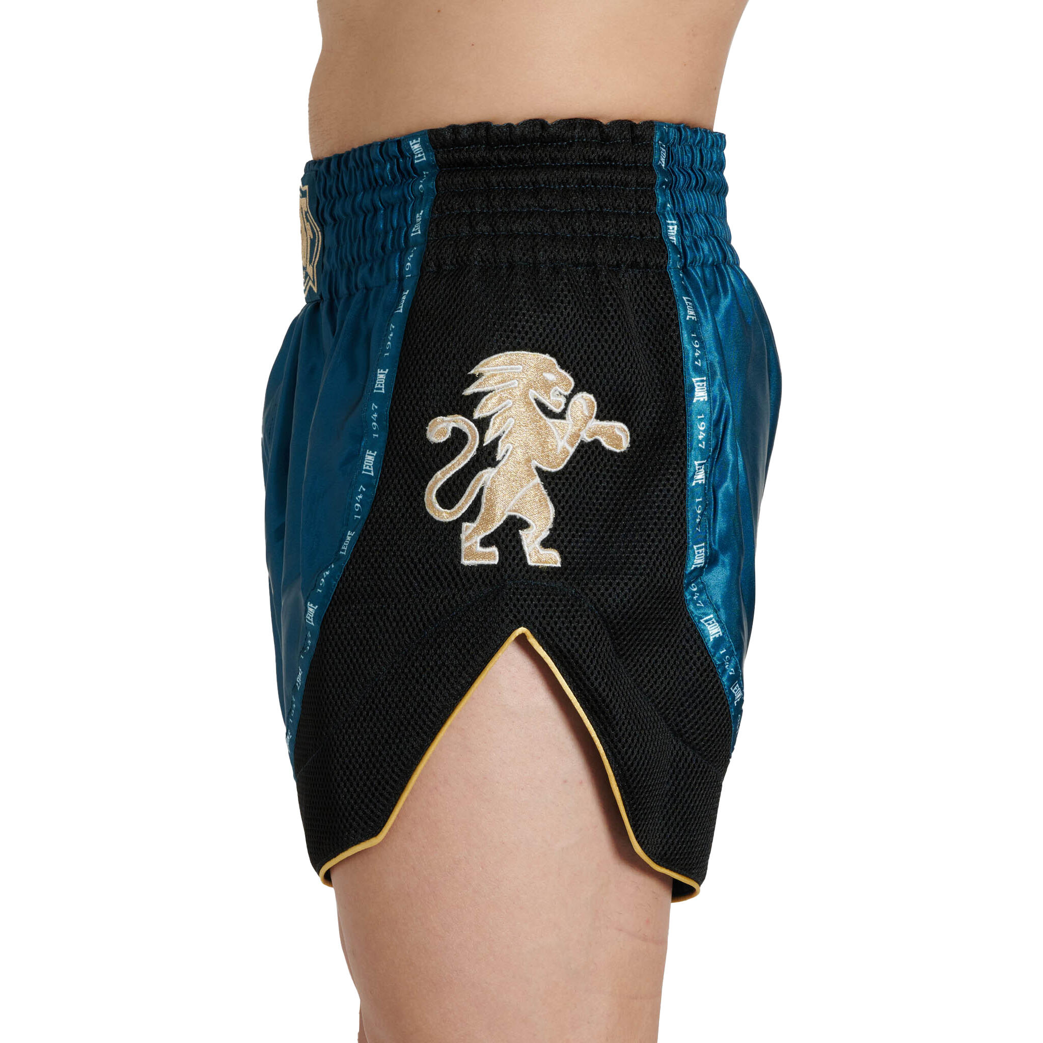 LEONE kick/thai shorts CLASSIC ottanio XL 2/8
