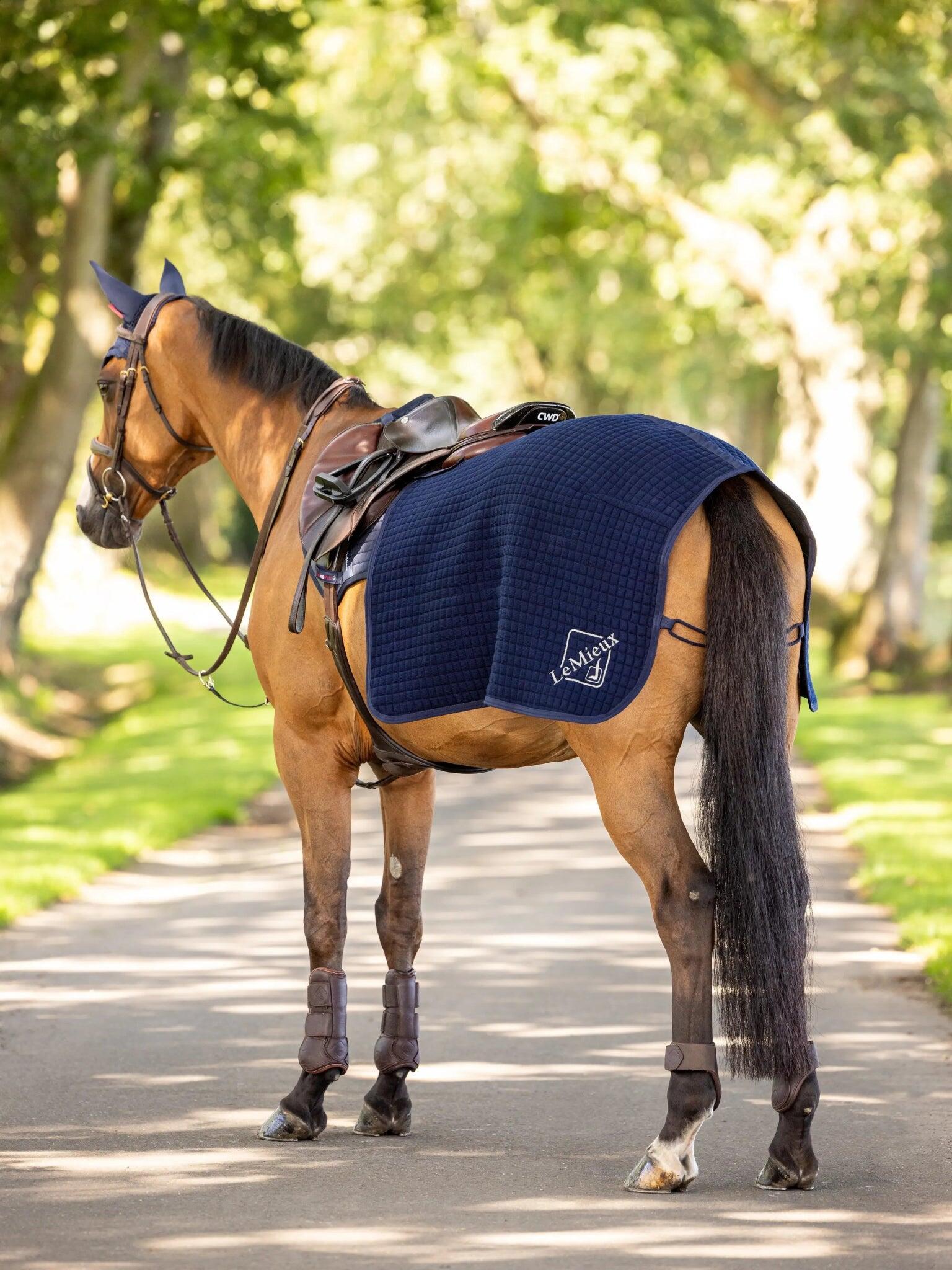 Fleece paardendekens LeMieux Arika Clima-Tek 4/4