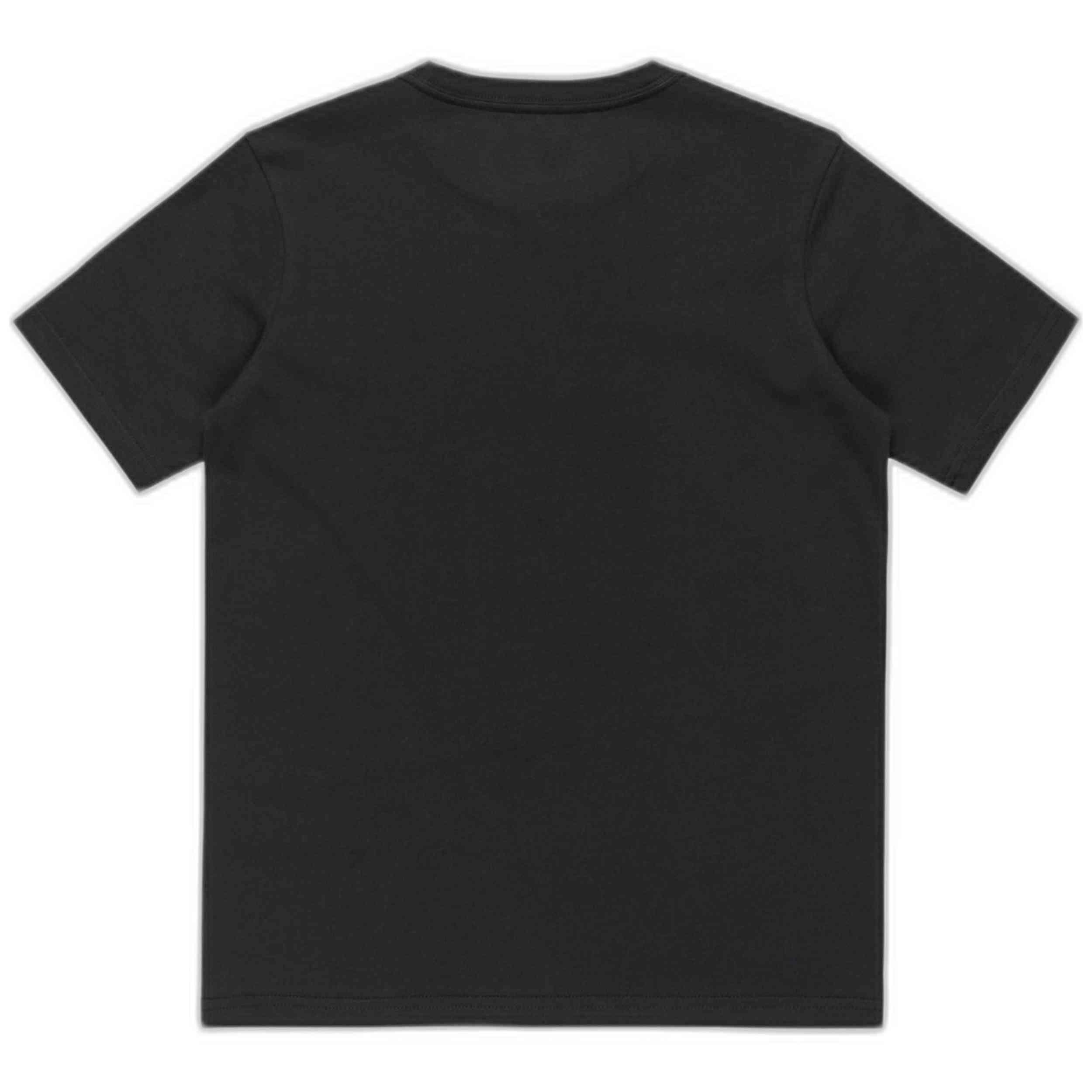 Camiseta de manga corta Quiksilver modelo EQBZT04845 para niños 2/2