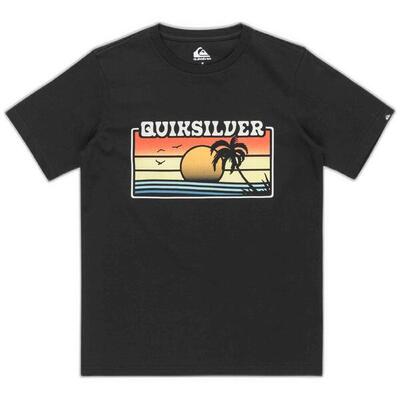 T-shirt met korte mouwen quiksilver model eqbzt04845 voor jongens