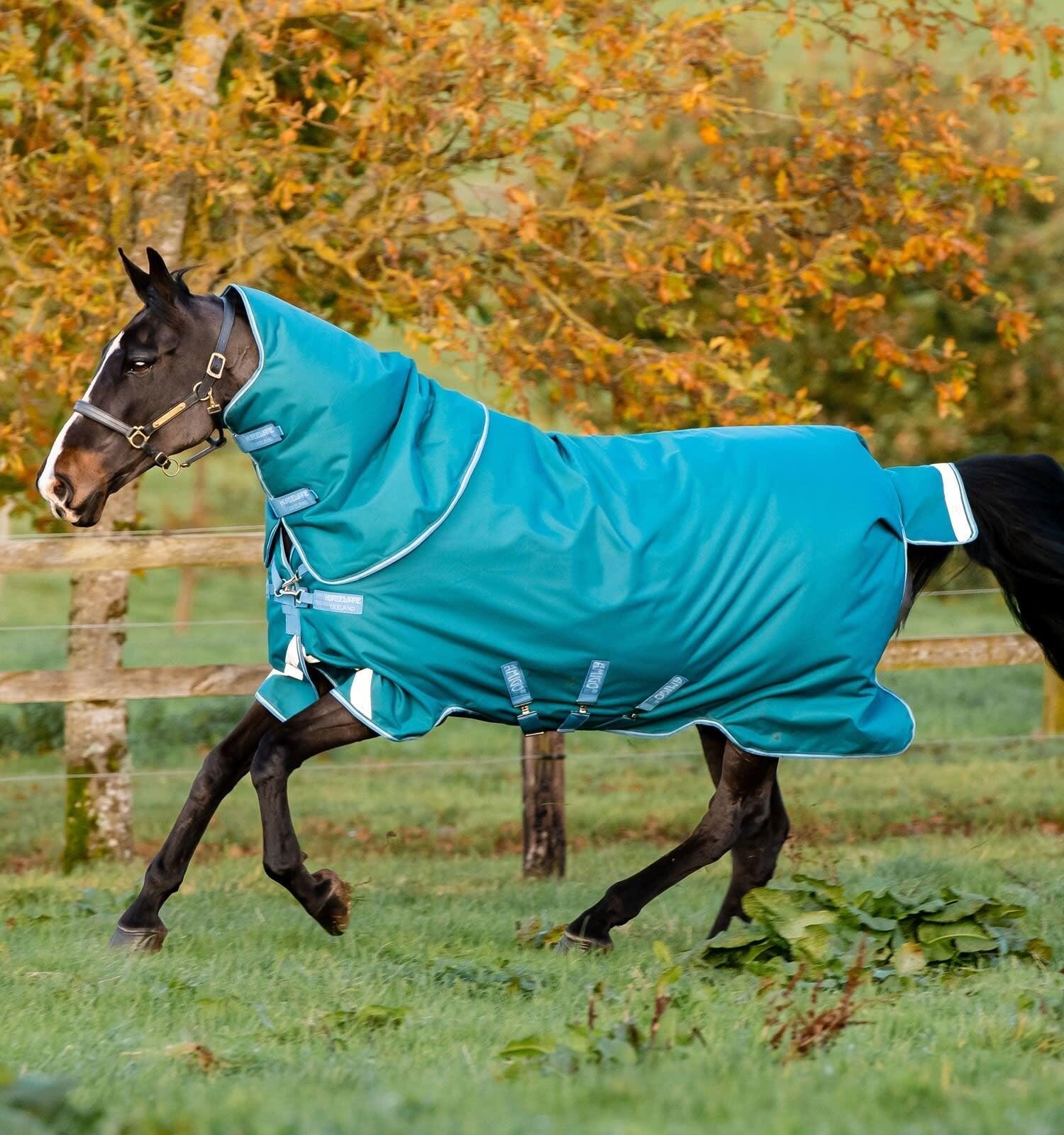 HORSEWARE IRELAND picture
