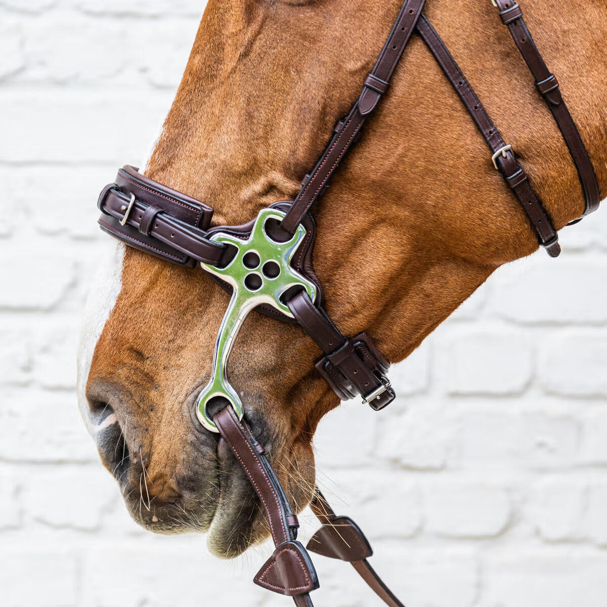 Hackamore voor paard Dy'on New English Collection 5/5