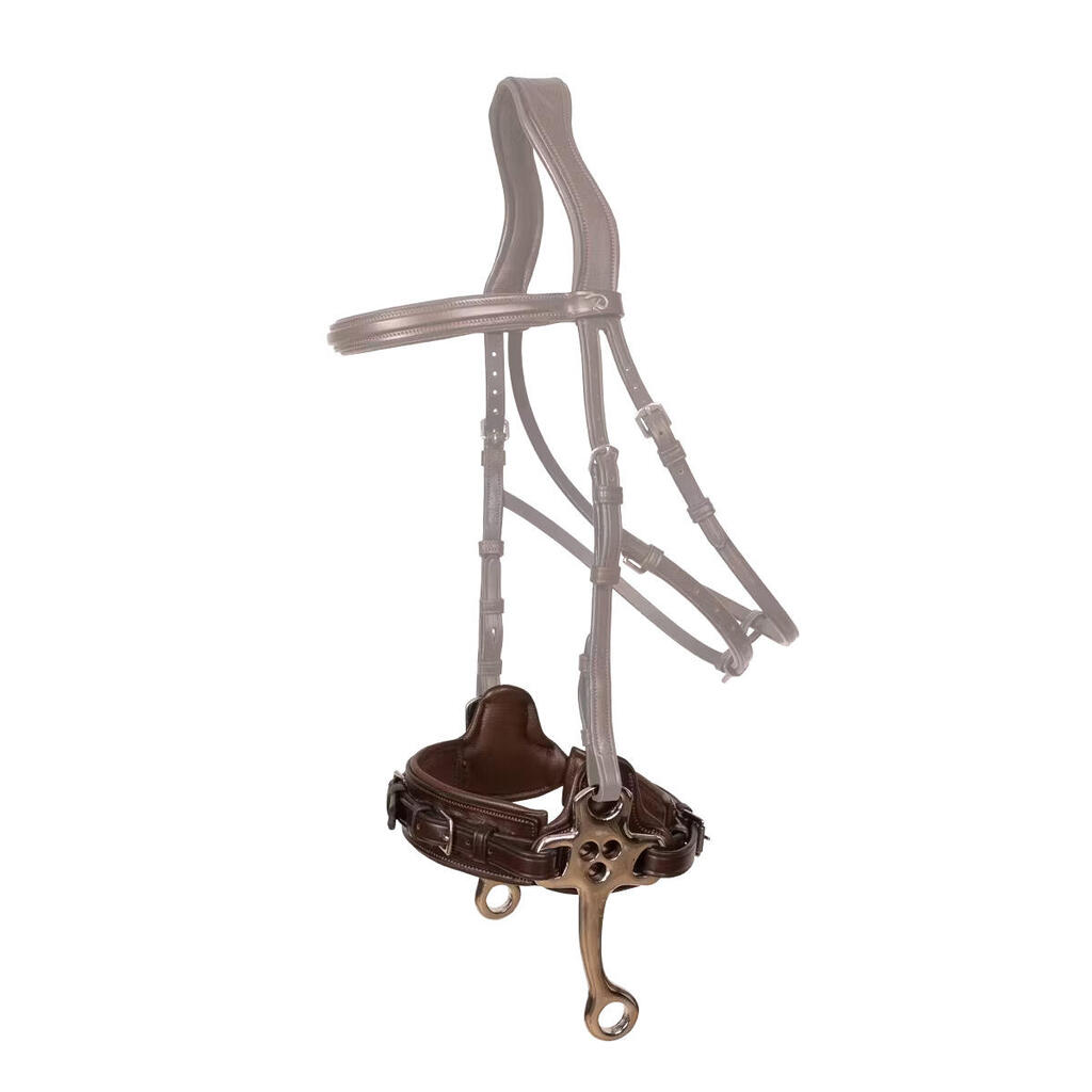 Hackamore for horse Dy'on New English Collection