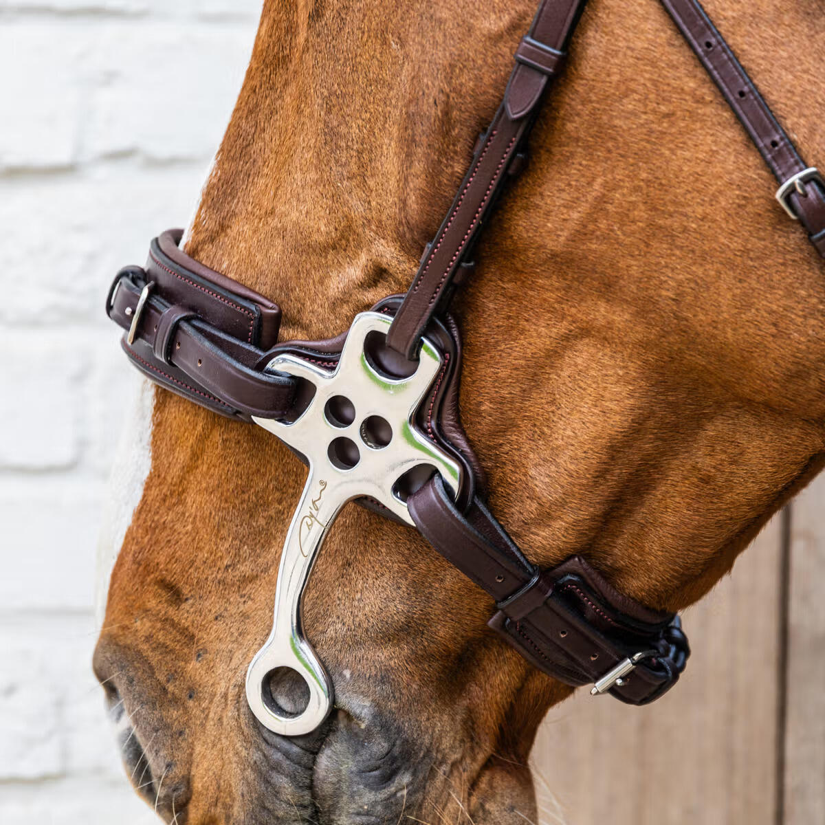 Hackamore voor paard Dy'on New English Collection 4/5