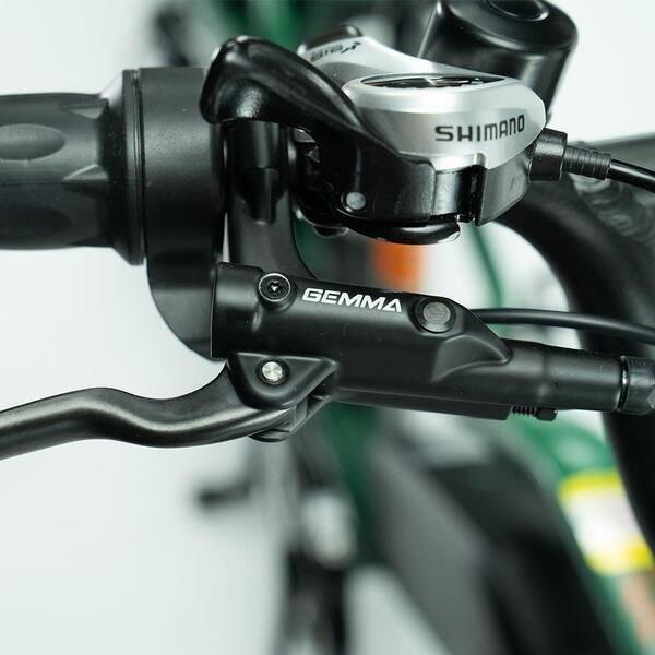 Transer Longtail 624Wh, Shimano Nexus, groen 4/7