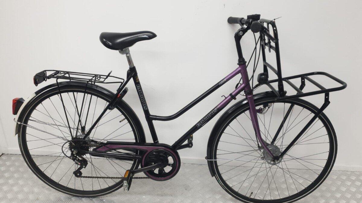 BATAVUS picture