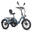 Triciclu electric pliabil Fafrees F20 MATE, baterie detașabilă de 48V 23.45Ah