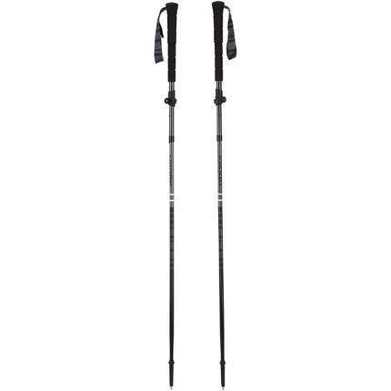 Wanderstock Viking Kettera Pro