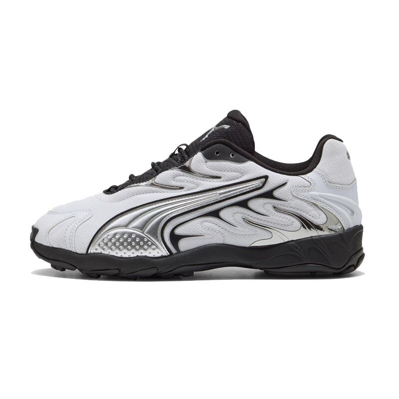 PUMA picture