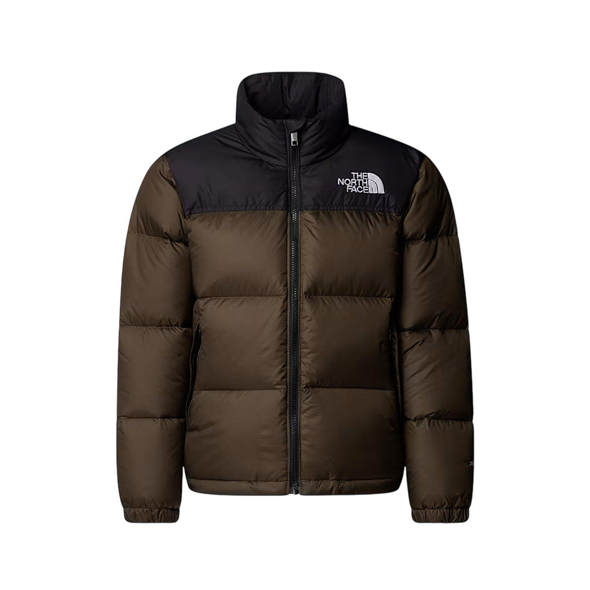 THE NORTH FACE picture