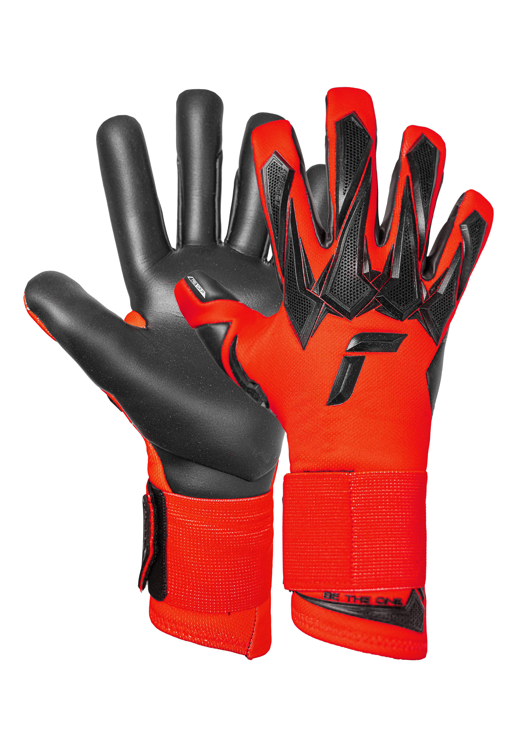 REUSCH picture