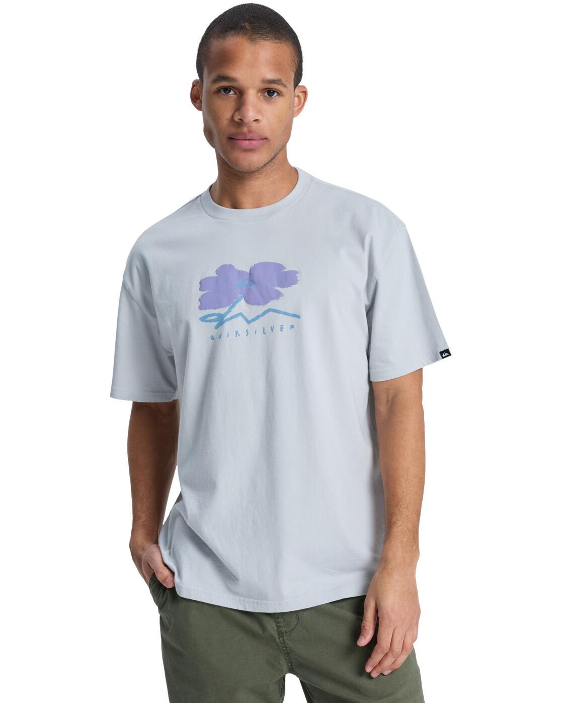 QUIKSILVER picture