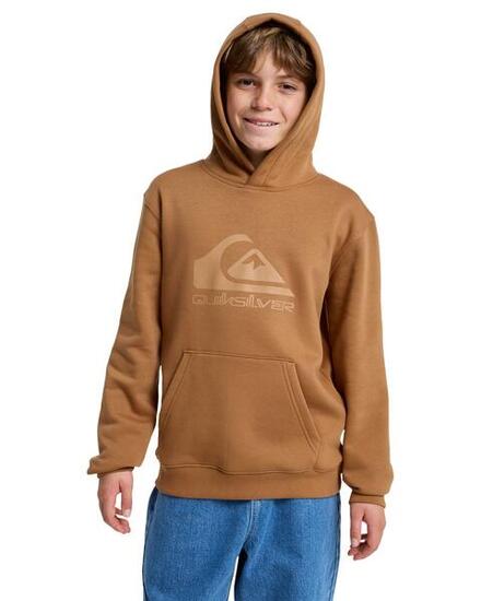Sweat à capuche COMP LOGO Marron Garçon
