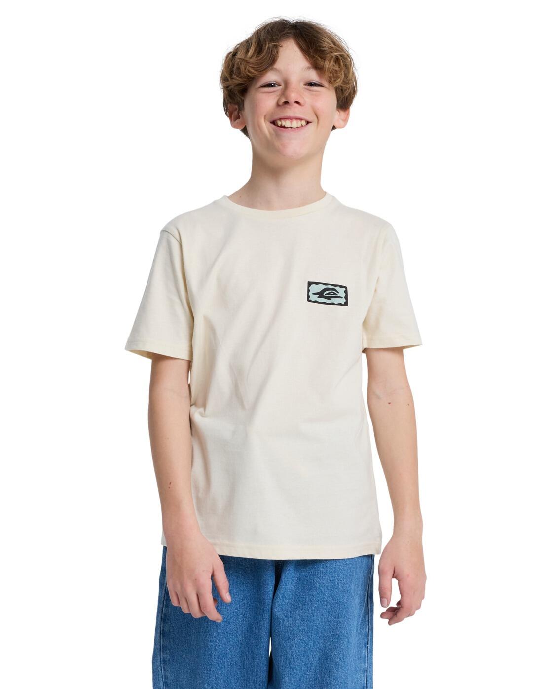 QUIKSILVER picture