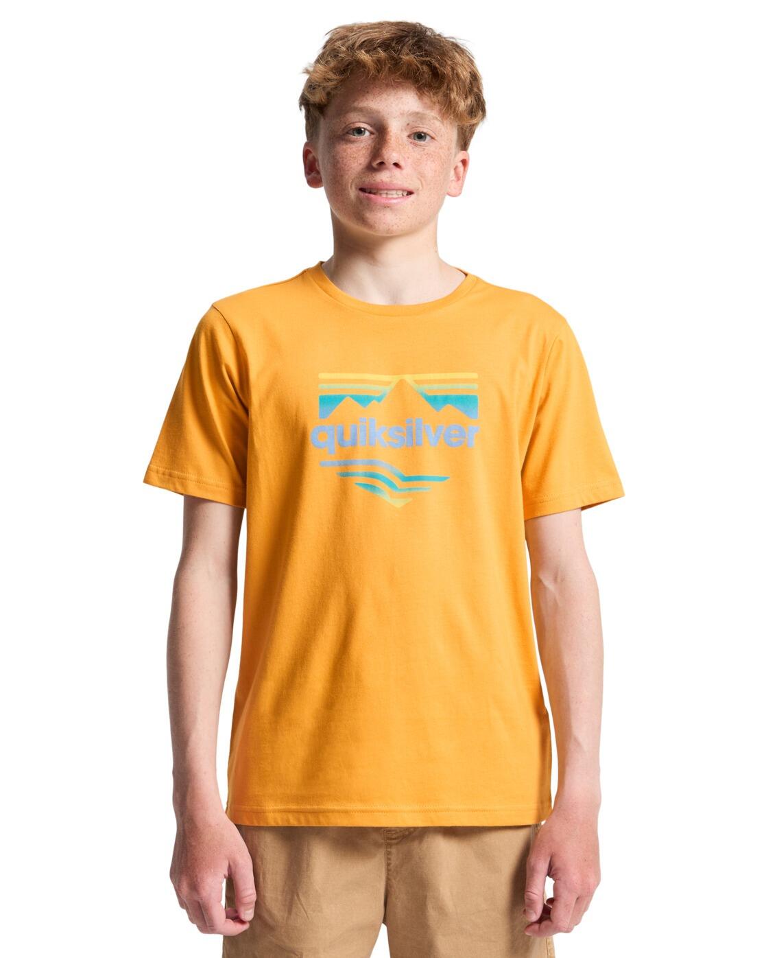 QUIKSILVER picture