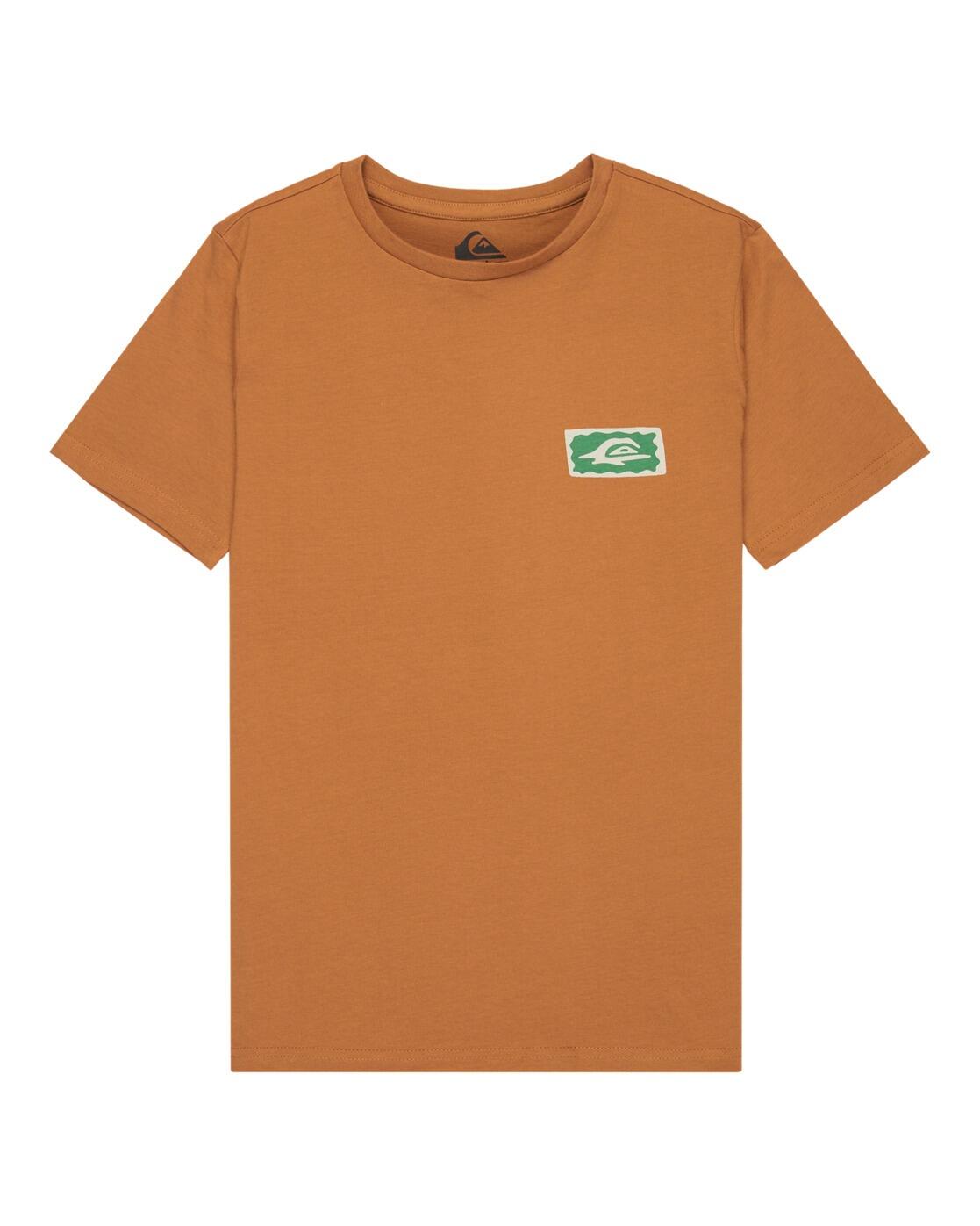 QUIKSILVER picture