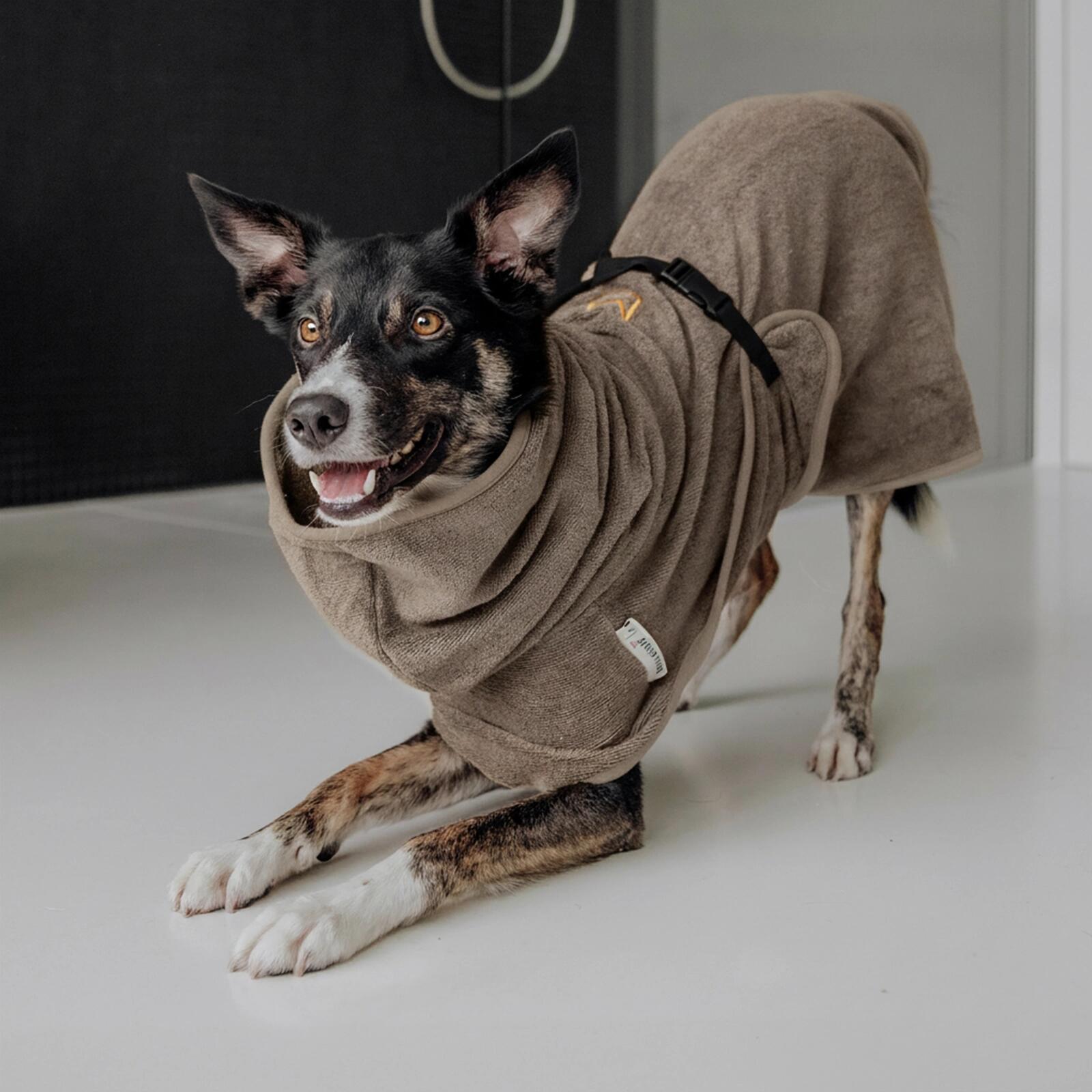 Hondenbadjas – 100% Katoen, Absorberend & Snel Droog 5/6