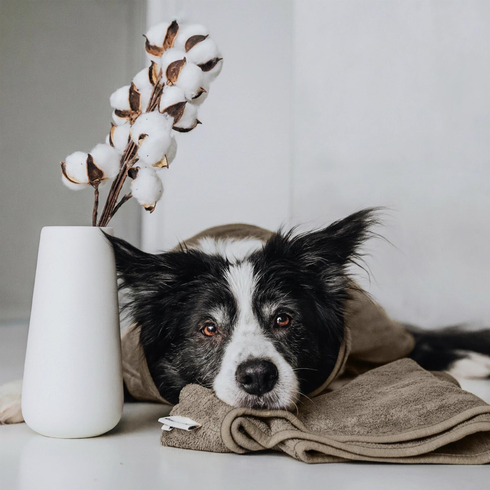 Hondenbadjas – 100% Katoen, Absorberend & Snel Droog 4/6