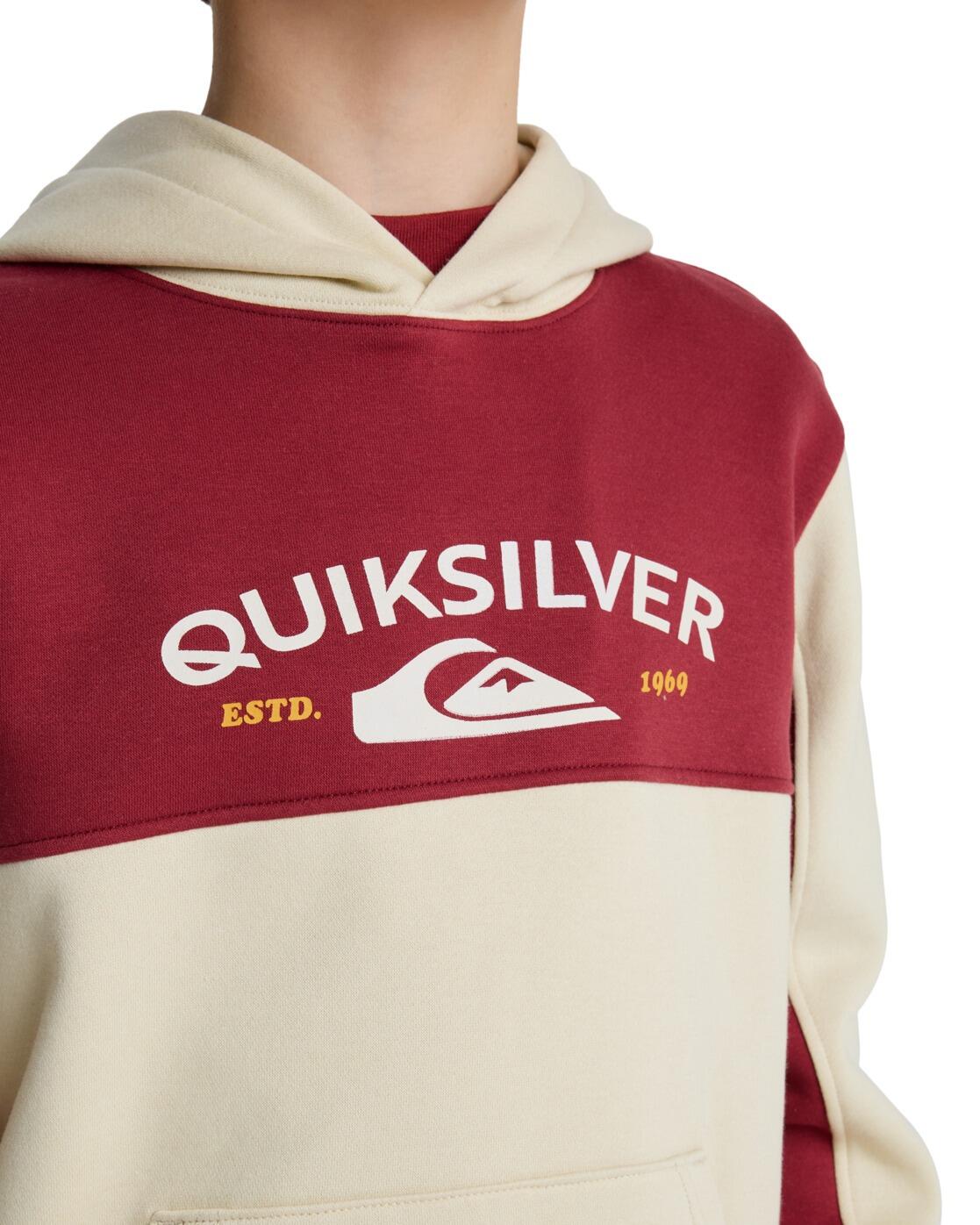 Sweat à capuche KNOWLEDGE AREA Beige Garçon 4/4