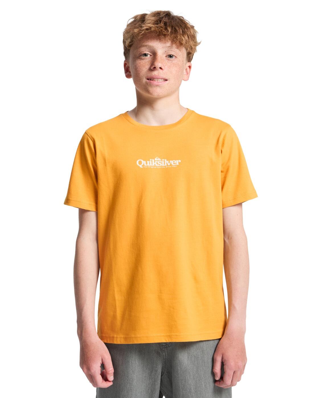 QUIKSILVER picture